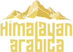 Himalayan Arabica